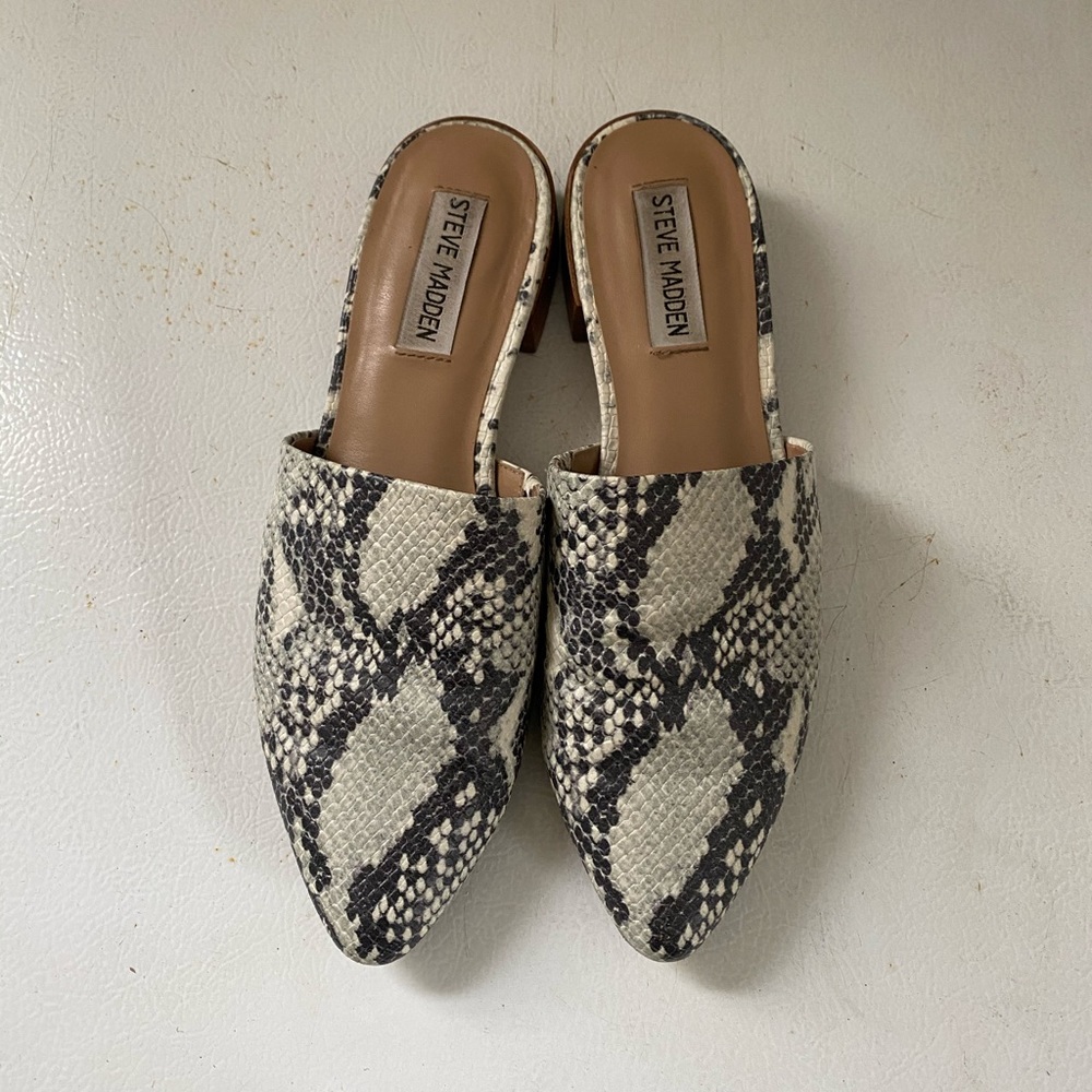 Steve Madden Mule